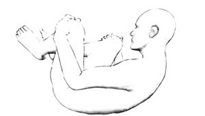 feldenkrais flexion P Binns